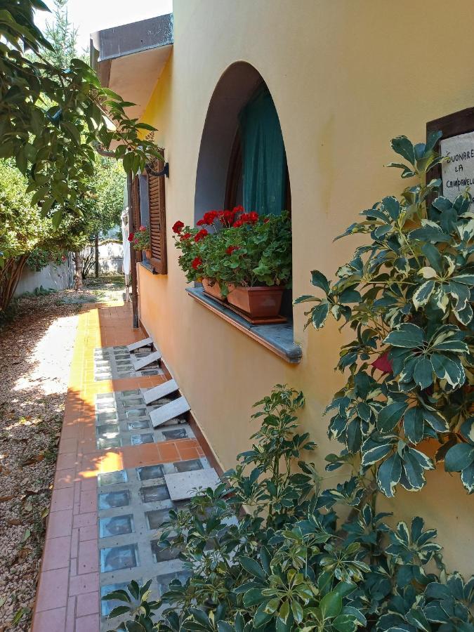 B&B Villa C'Era Una Volta Marina di Massa Exterior photo