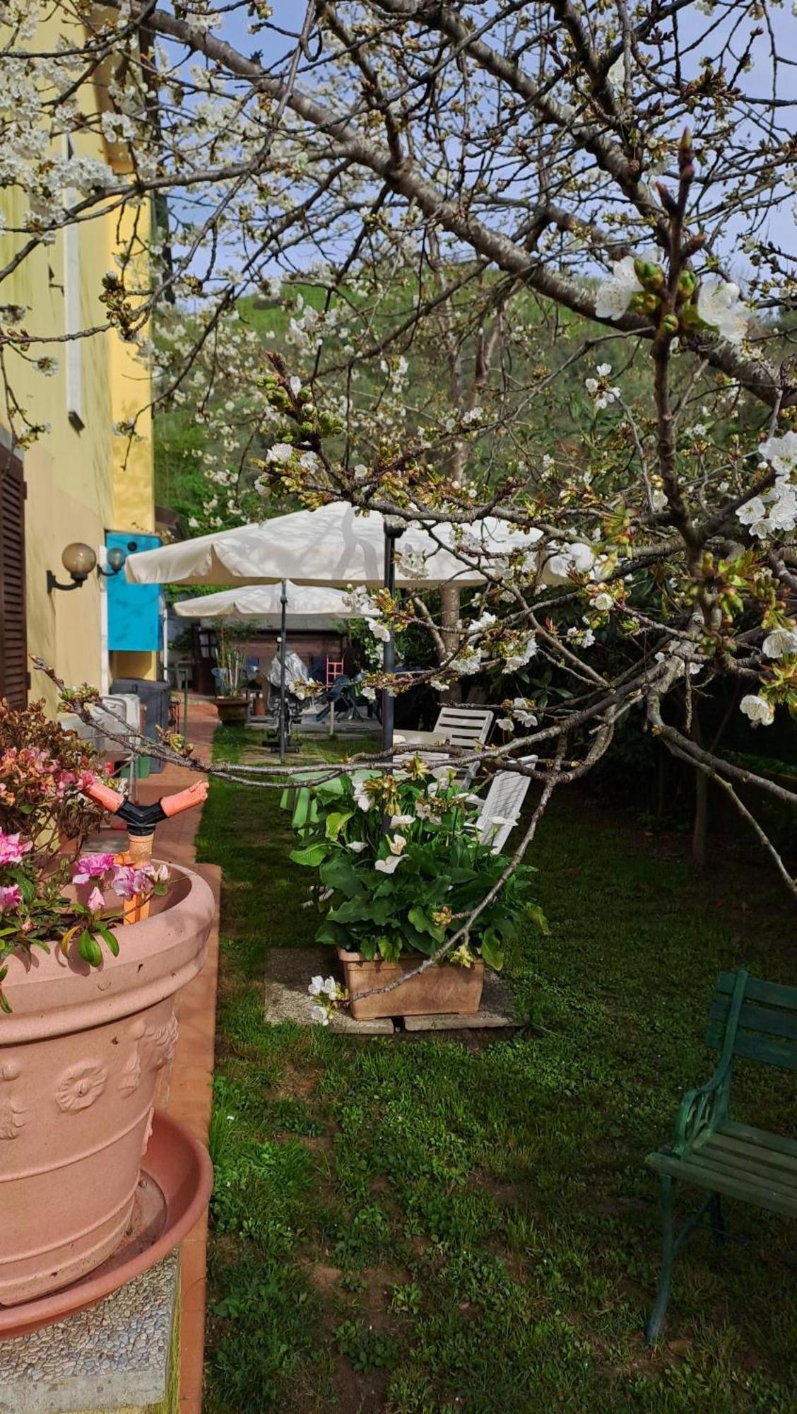 B&B Villa C'Era Una Volta Marina di Massa Exterior photo